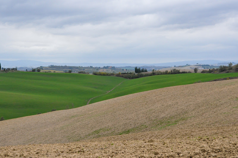 La nostra Terra di Monica_Saba