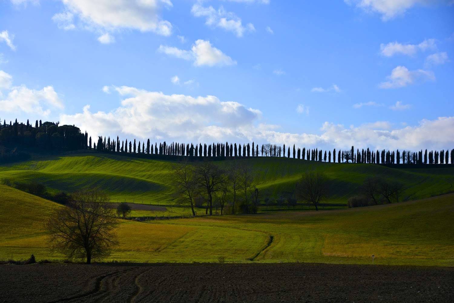 Paesaggio invernale di Toscana presso di Asciano. Colline, cipressi... Toscana 