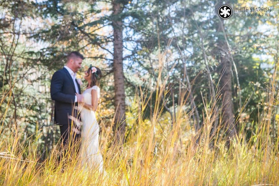 Wedding photographer Bex White (bexwhite). Photo of 29 December 2019