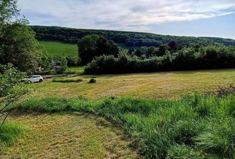  Vente Terrain à bâtir - 11 934m² à Donnemarie (52800) 