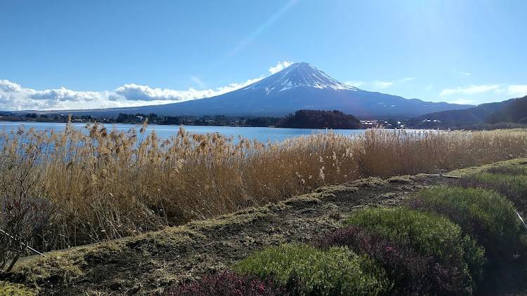 ムーヴのムーヴ・富士五湖・西湖・河口湖・山中湖に関するカスタム事例の投稿画像6枚目