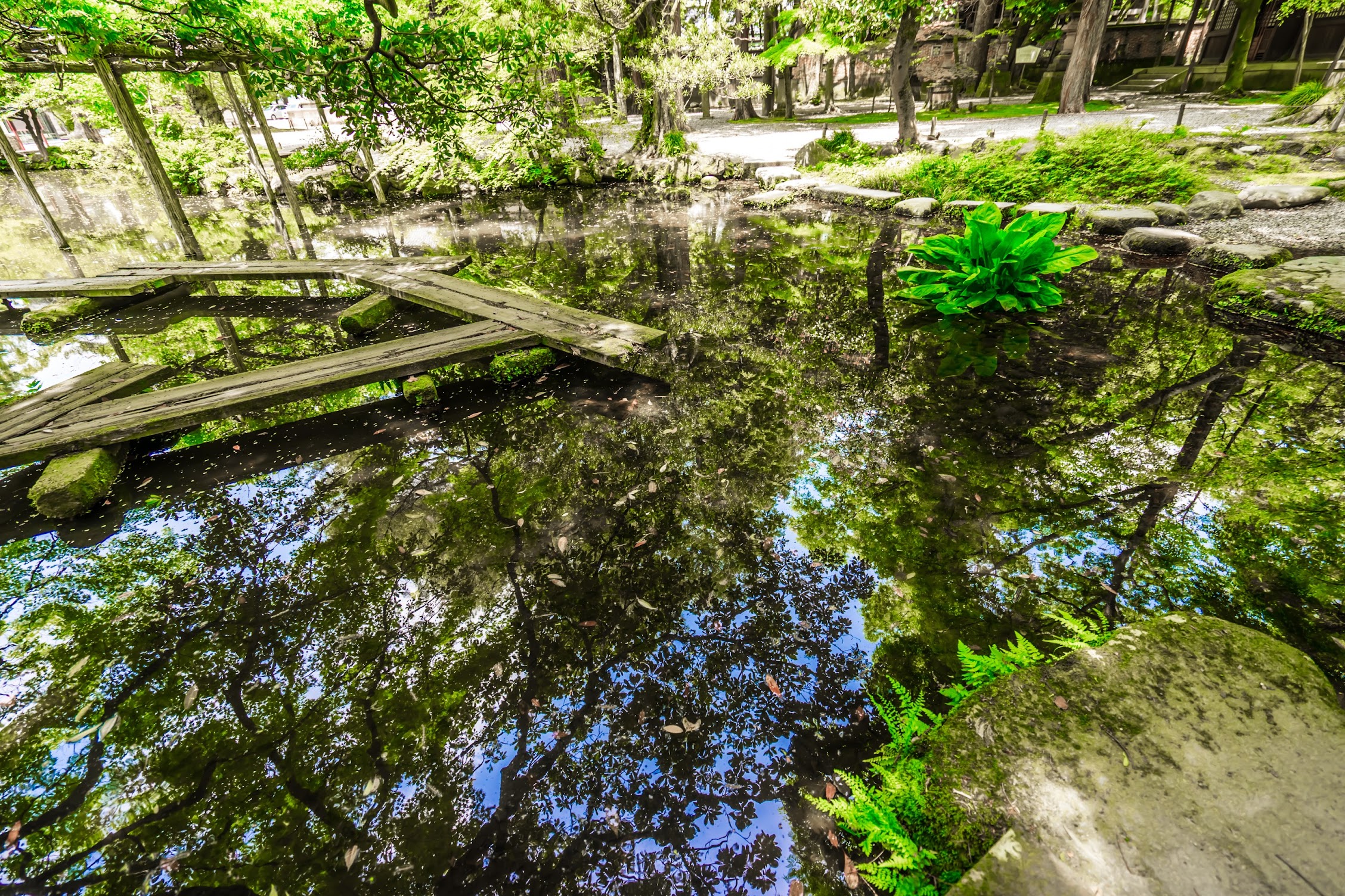 Kanazawa Oyama Jinja Shrine garden3