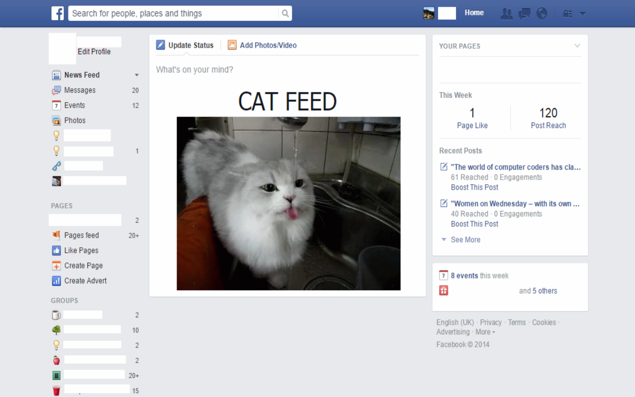 Cat Feed Preview image 0