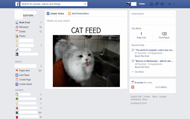 Cat Feed chrome extension