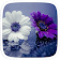 Violet Fleurs Thème icon