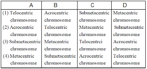 Nucleus and Chromosomes