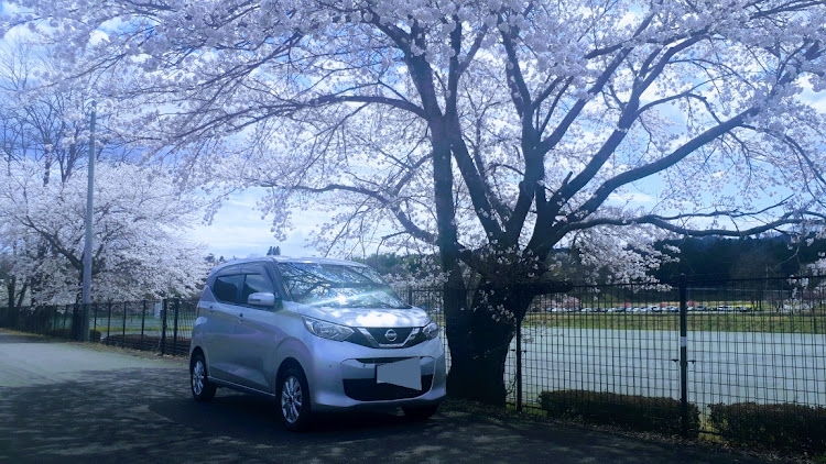 デイズのデイズ・桜と愛車・桜とコラボ・桜に関するカスタム事例の投稿画像1枚目