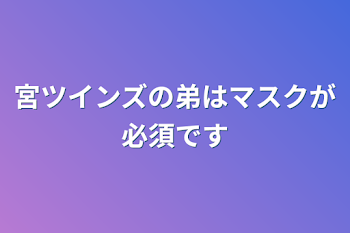 宮ツインズの弟はマスクが必須です