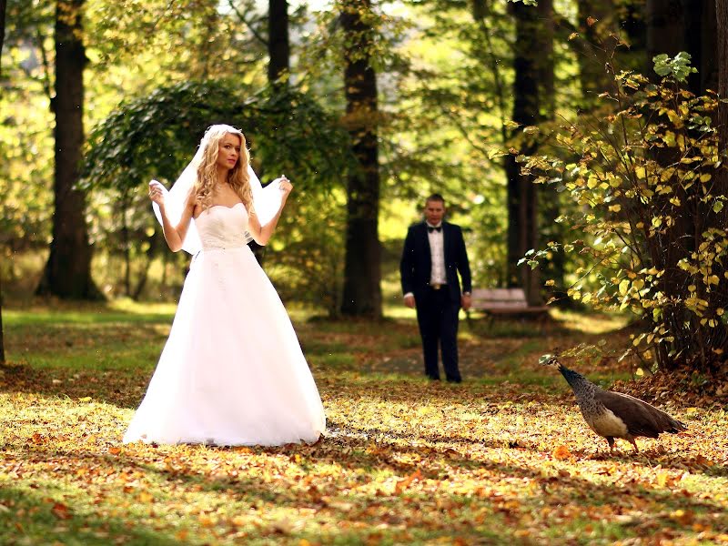 Fotógrafo de bodas Simon Pytel (simonpytel). Foto del 14 de octubre 2014