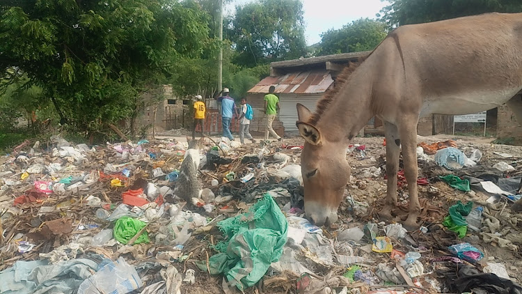 A donkey feeds on a beach dumpsite filled with plastic waste in Lamu island.