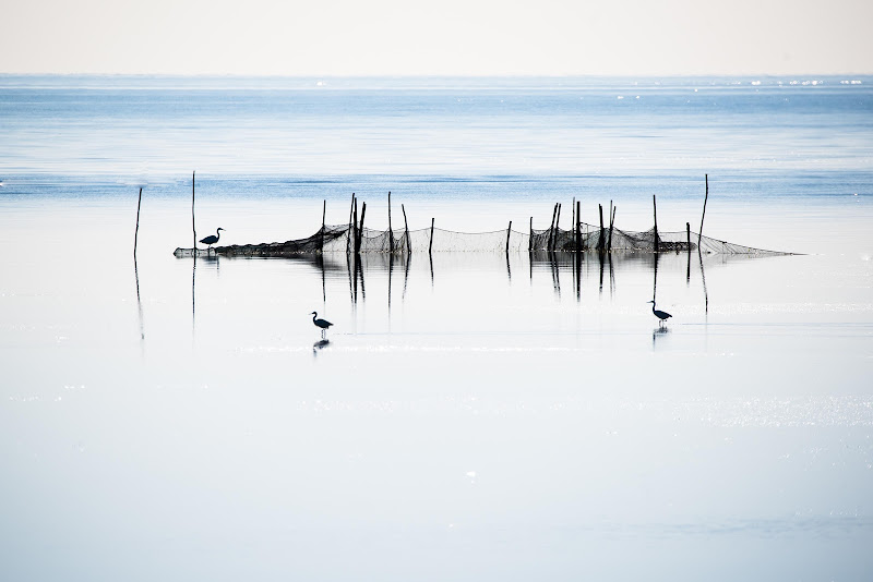 Zona di pesca di Peter_Sossi