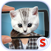 Face scanner: What cat 2 icon