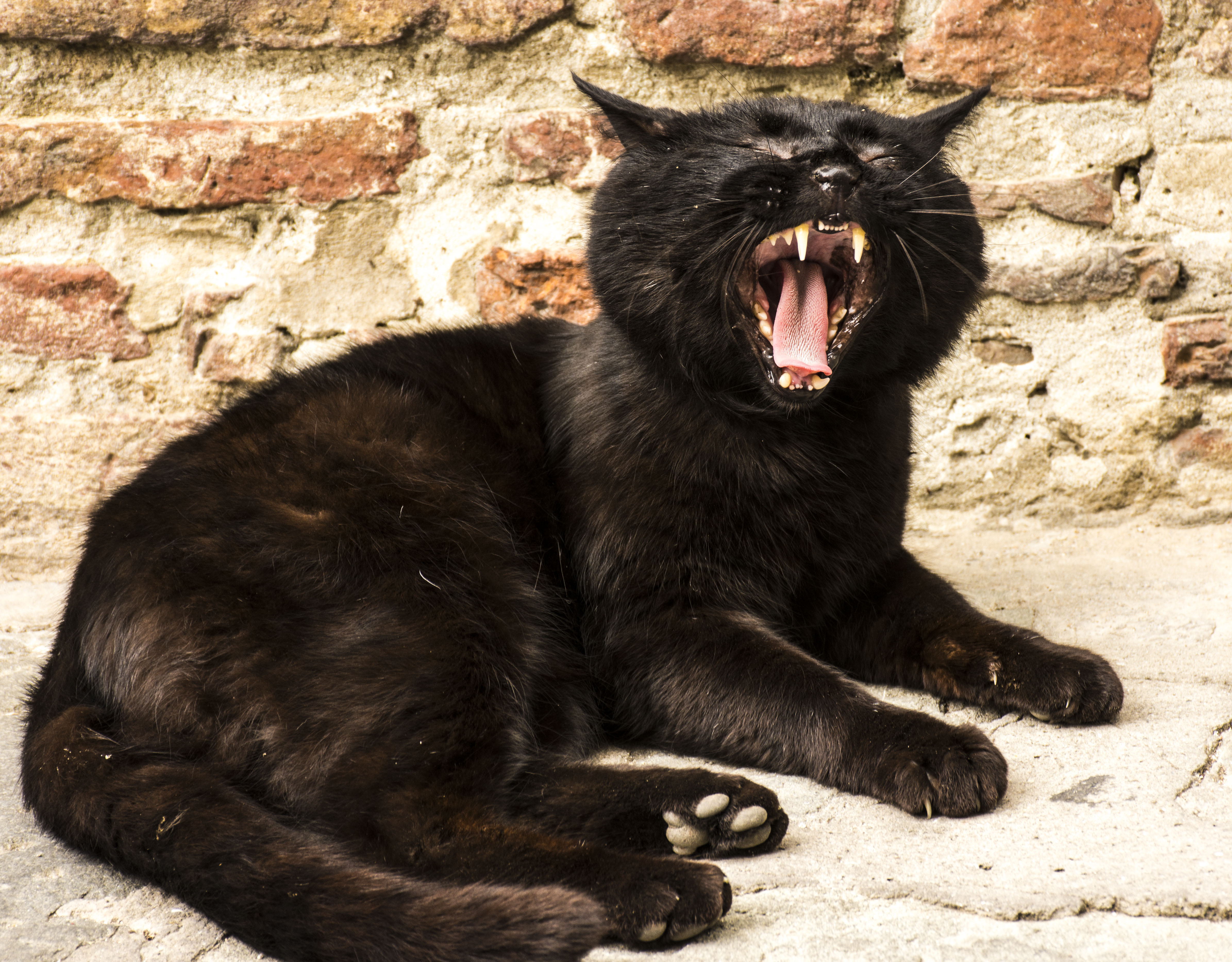 Uff....che noia....... di Maria Luisa