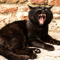 Uff....che noia....... di 