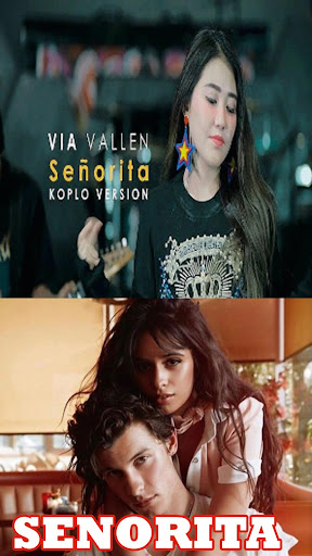 Senorita DJ Offline Terbaru