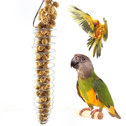 Bird Feeder Pole Parrot Foraging Toy Spiral Metal Bird Food Holder With Hook Stainless Steel Parrot Treat Skewer For Fru