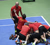 Darcis stunt opnieuw en bezorgt België zo onverwachte plek in de kwartfinale van de Davis Cup!