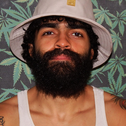 Roll One D3
