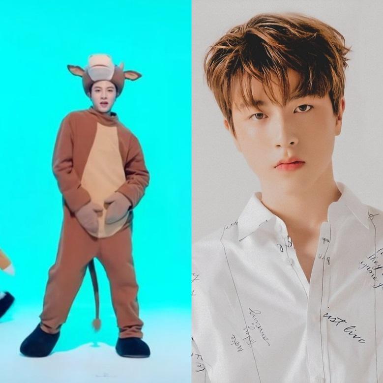 Idol Kpop Giant Baby junghwan 