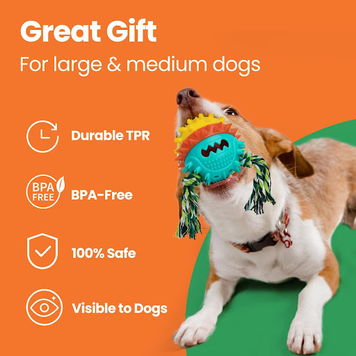 miniatures image - 6