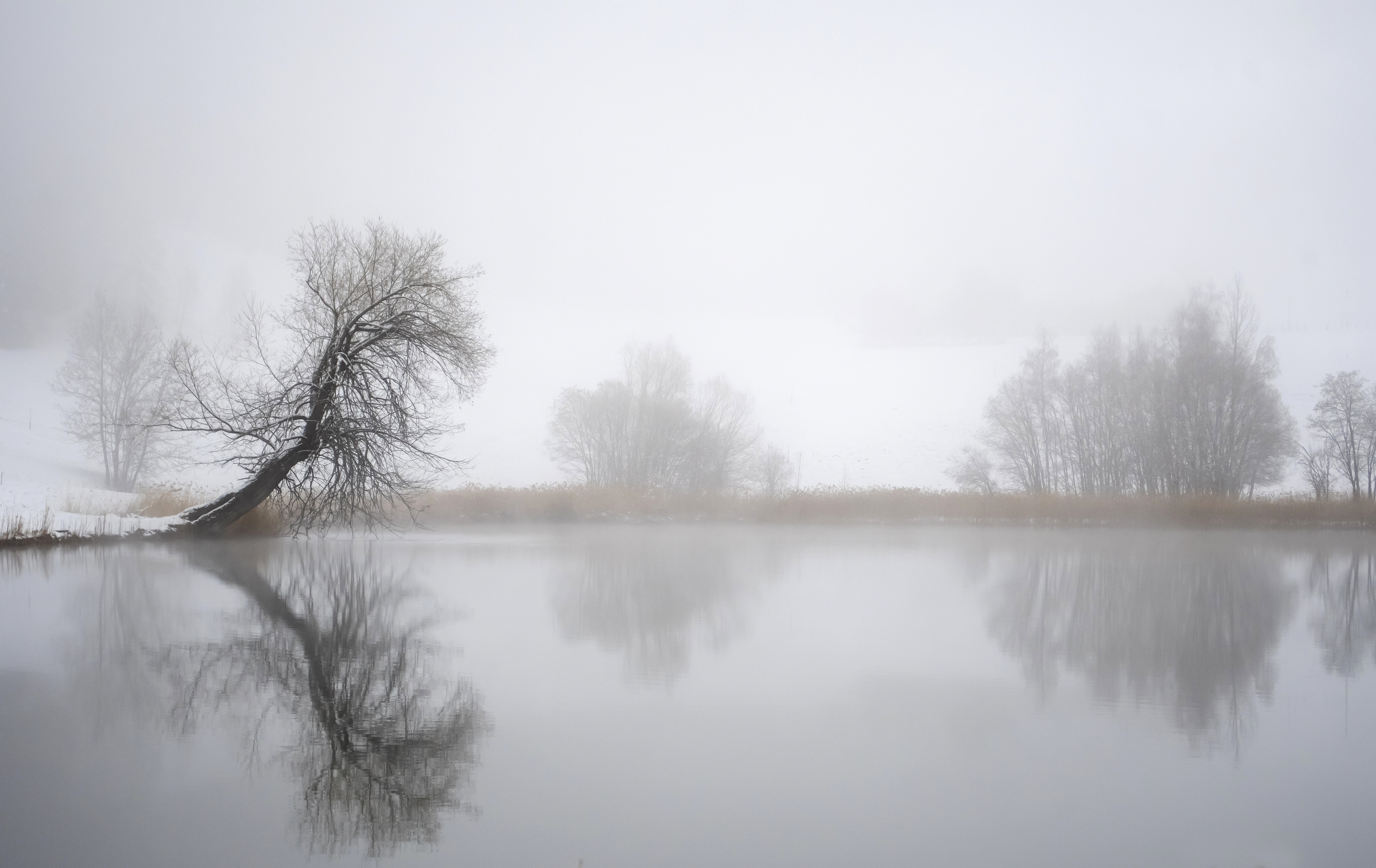 Riflesso triste di gigidueelle