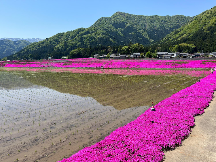 の投稿画像2枚目