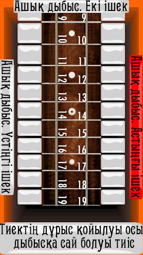 Домбыра аспабы