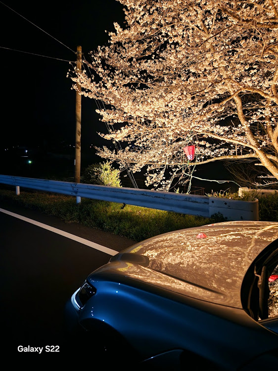 GS Fの桜と愛車・今年の桜・HNT会・L.M.Cに関するカスタム事例の投稿画像1枚目