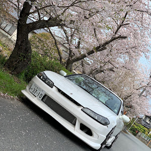 シルビア S15