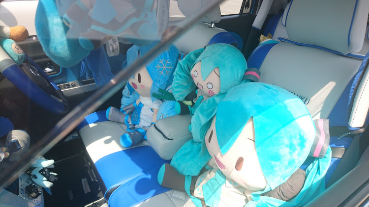 キャストアクティバの浜名湖ガーデンパーク・オフ会・ミーティング・ダイハツ・キャストに関するカスタム事例の投稿画像4枚目