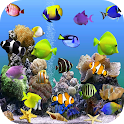 Icon Aquarium Video Live Wallpaper