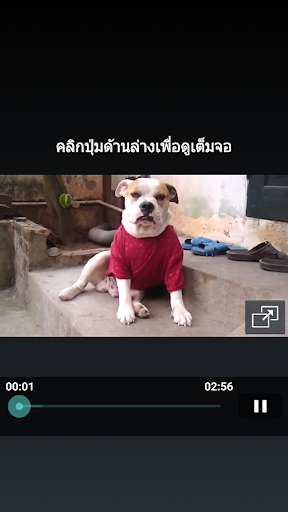 คลิปเป็นข่าว