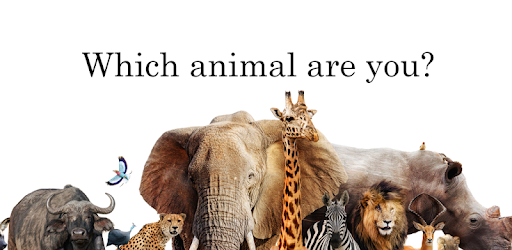 Which Animal Are You Personality Test Aplicații Pe Google Play