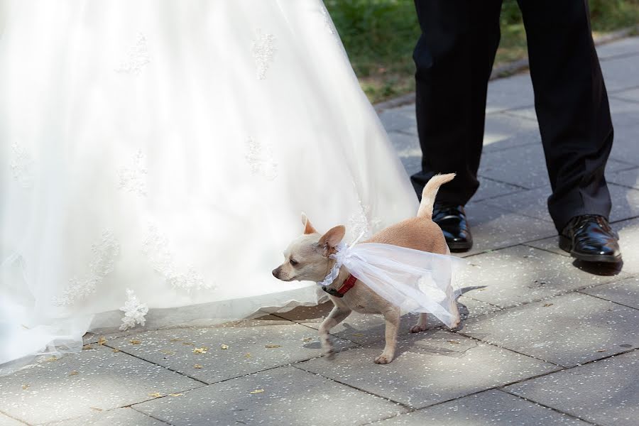 ช่างภาพงานแต่งงาน Beata Zys (beatazys) ภาพเมื่อ 13 กันยายน 2015