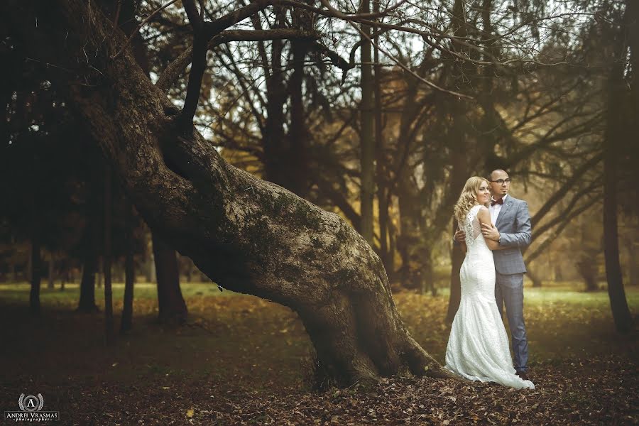 Wedding photographer Andrei Vrasmas (vrasmas). Photo of 28 October 2016