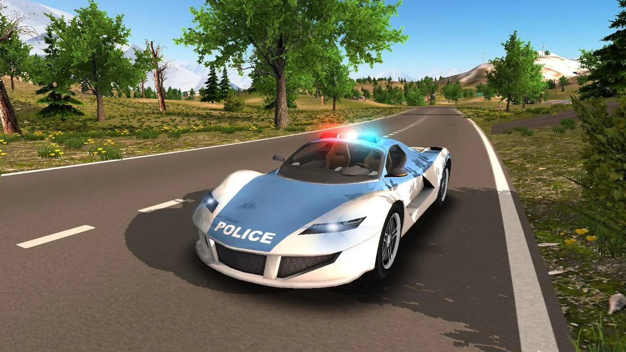   Police Car Driving Offroad- 스크린샷 