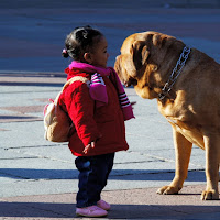 Io Grande Cane..Tu Piccola Bimba..Augh.. di 