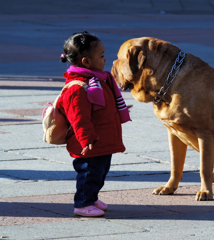 Io Grande Cane..Tu Piccola Bimba..Augh.. di francescomartini