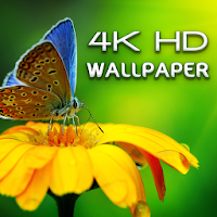 HD Wallpapers - 4K UltraHD High Quality Wallpaper