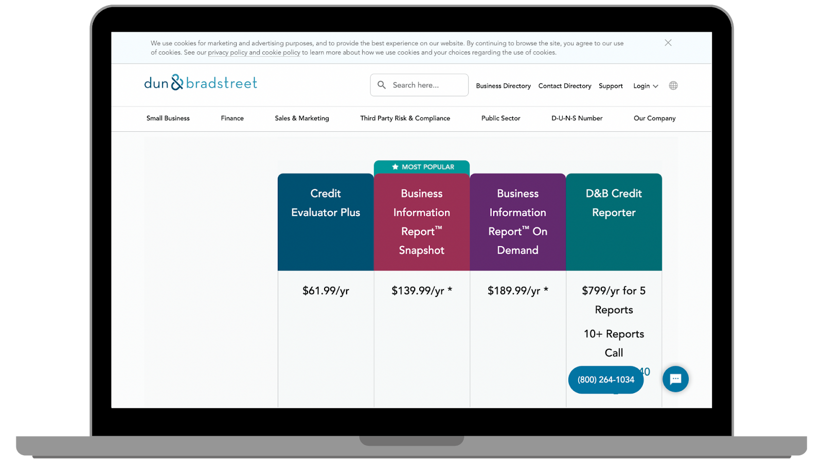 Request D&B business credit report