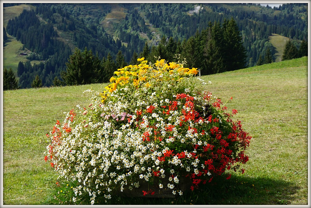 Фотозарисовки из Верхней Савойи: Ивуар, Анси, Межев...