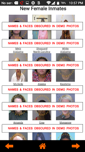 County Jail Inmate Search screenshot #2