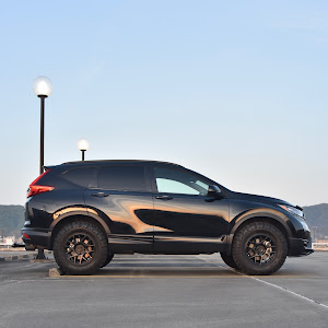 CR-V RT6