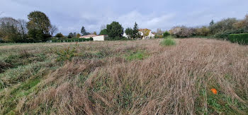 terrain à Saint-leon-sur-l'isle (24)