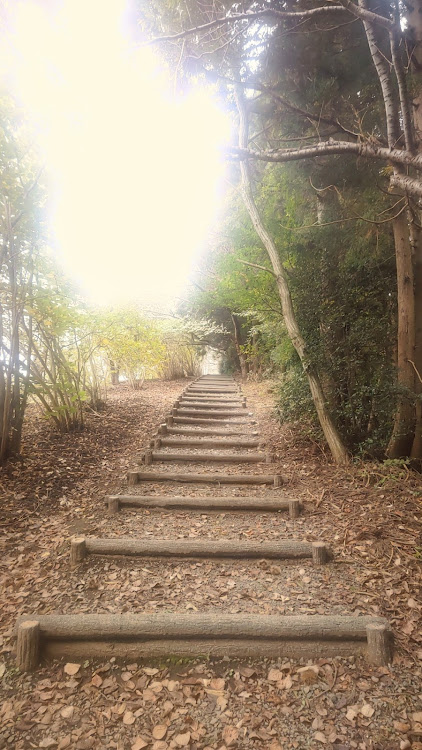 プリウスの三王山自然公園に関するカスタム事例の投稿画像6枚目