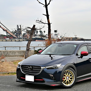 CX-3 DKEFW