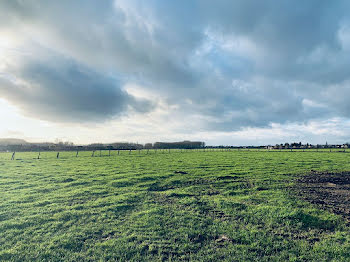 terrain à Râches (59)