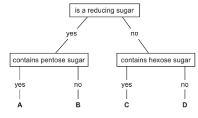 Carbohydrates