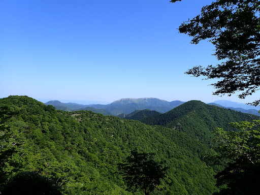 焼尾山付近から霊仙山を望む（右に三国岳）