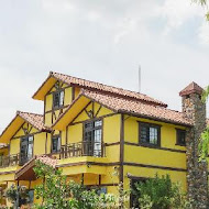 Yellow House_449